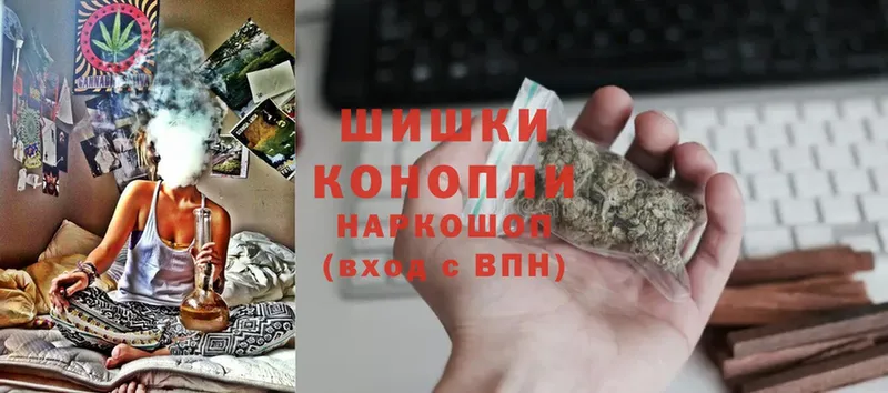 блэк спрут ссылка  Луга  Бошки Шишки гибрид 